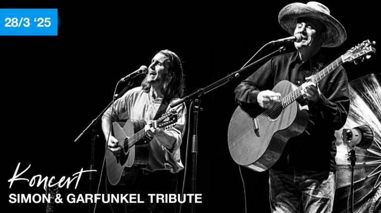 Simon & Garfunkel Tribute Duo koncert i Tinghuset